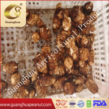 New Crop Good Quality Fresh Taro 60g